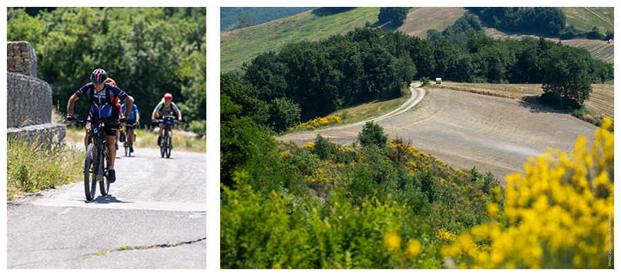 PanSec Gravel Modena